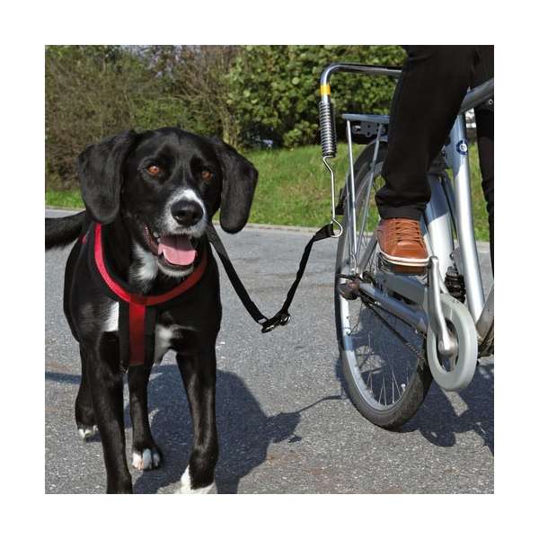 Trixie Biker-Set til hund, str. S-M